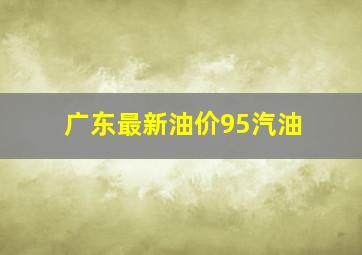 广东最新油价95汽油