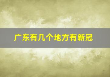 广东有几个地方有新冠