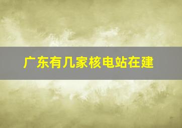 广东有几家核电站在建