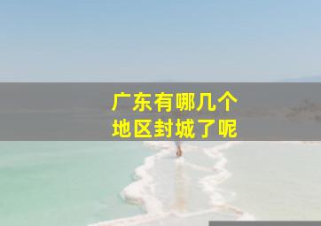 广东有哪几个地区封城了呢