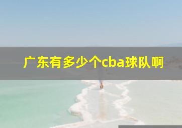 广东有多少个cba球队啊