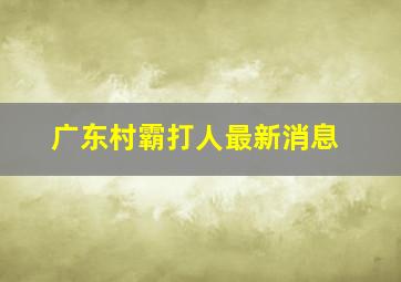 广东村霸打人最新消息