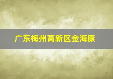 广东梅州高新区金海康