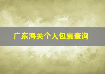 广东海关个人包裹查询