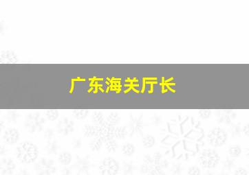 广东海关厅长