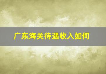 广东海关待遇收入如何