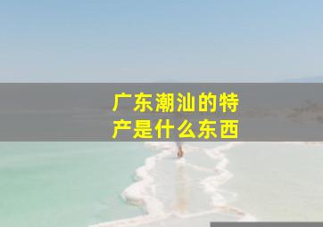 广东潮汕的特产是什么东西