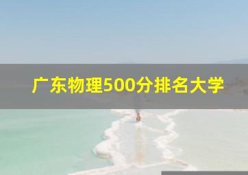 广东物理500分排名大学