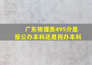 广东物理类495分是报公办本科还是民办本科