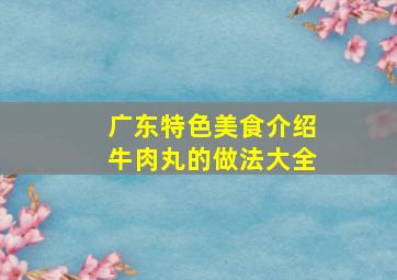 广东特色美食介绍牛肉丸的做法大全