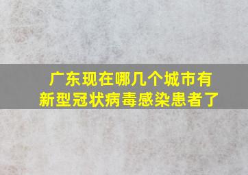 广东现在哪几个城市有新型冠状病毒感染患者了