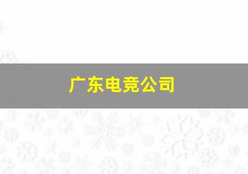 广东电竞公司