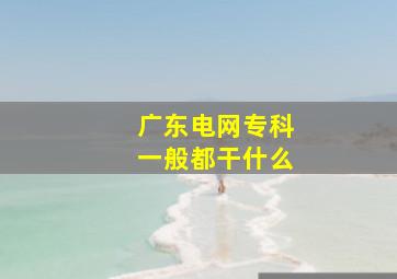 广东电网专科一般都干什么