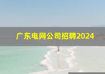 广东电网公司招聘2024