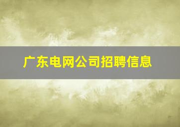 广东电网公司招聘信息