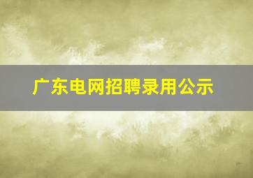 广东电网招聘录用公示