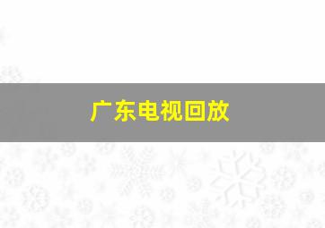 广东电视回放