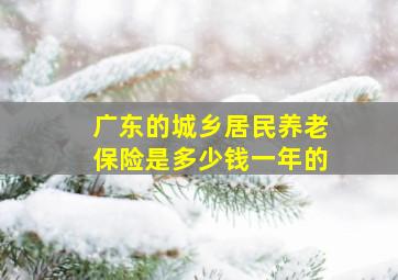 广东的城乡居民养老保险是多少钱一年的