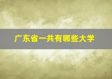 广东省一共有哪些大学