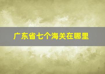 广东省七个海关在哪里