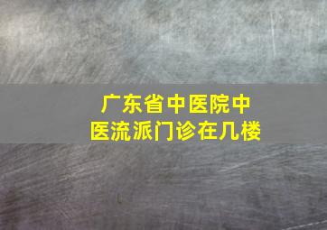 广东省中医院中医流派门诊在几楼