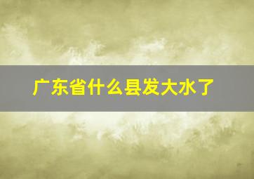 广东省什么县发大水了