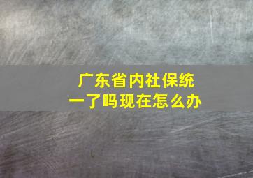 广东省内社保统一了吗现在怎么办