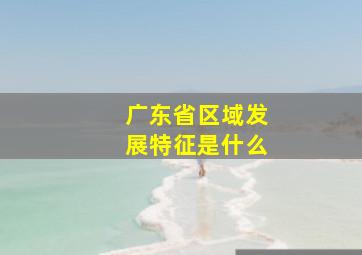 广东省区域发展特征是什么