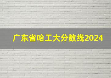 广东省哈工大分数线2024