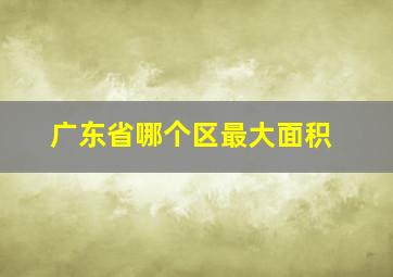 广东省哪个区最大面积