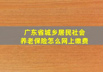 广东省城乡居民社会养老保险怎么网上缴费