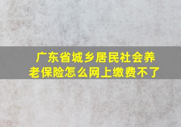 广东省城乡居民社会养老保险怎么网上缴费不了