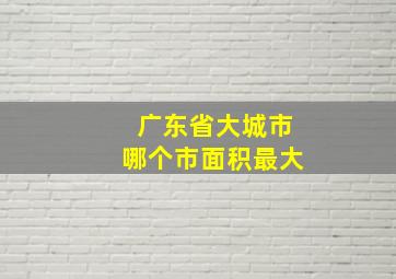 广东省大城市哪个市面积最大