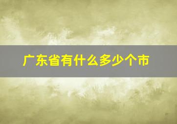 广东省有什么多少个市