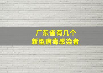 广东省有几个新型病毒感染者