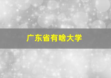 广东省有啥大学