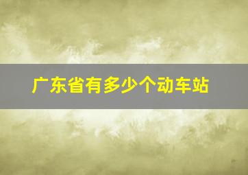 广东省有多少个动车站