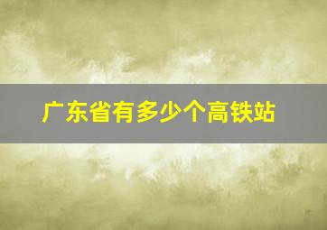 广东省有多少个高铁站