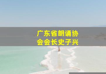 广东省朗诵协会会长史子兴