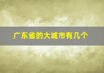 广东省的大城市有几个