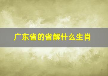 广东省的省解什么生肖