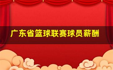 广东省篮球联赛球员薪酬