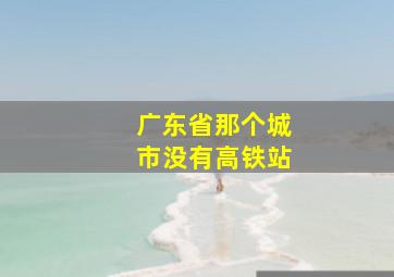 广东省那个城市没有高铁站