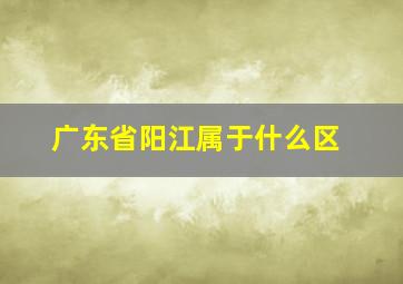 广东省阳江属于什么区