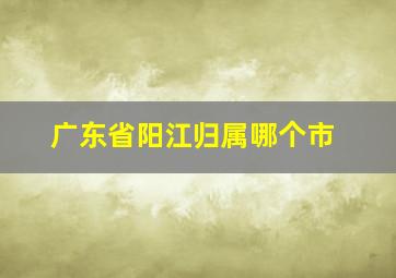 广东省阳江归属哪个市