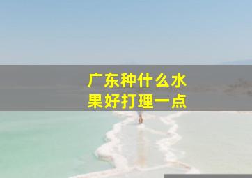 广东种什么水果好打理一点