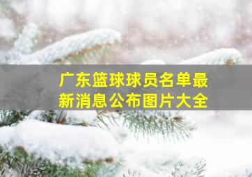 广东篮球球员名单最新消息公布图片大全