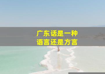 广东话是一种语言还是方言