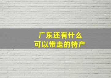 广东还有什么可以带走的特产