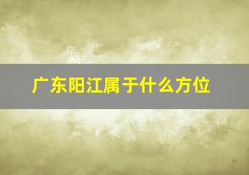 广东阳江属于什么方位